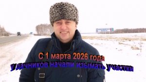 С 1 марта 2026 года у дачников начали изымать участки из-за американского клена