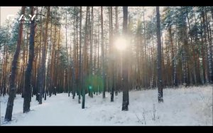 LIVE: C.A.Y. Records Digital Record Label