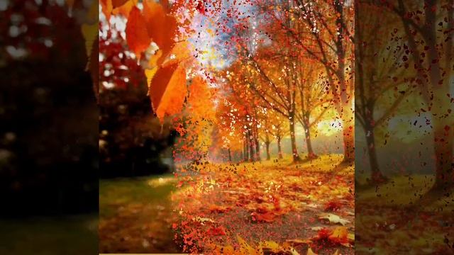 Осенние дни