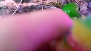 Я СТАЛА МАЛЕНКОЙ (3 часть)