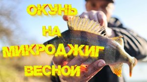 ОКУНЬ на МИКРОДЖИГ ВЕСНОЙ 2026 💪💪💪 Открытие сезона рыбалок на СПИННИНГ 👍