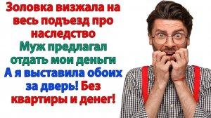 Думали отжать бабкину квартиру за моей спиной? | Истории Из Жизни | Реальная История