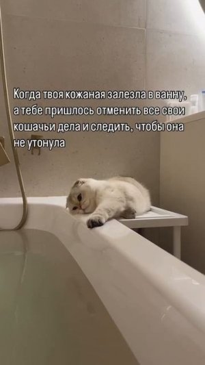 Какой заботливый пирожочек💖