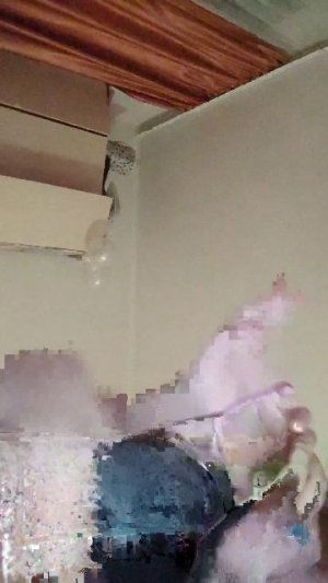 вопрос-ответ бумажные собаки