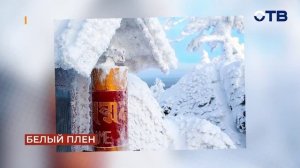 Свердловское утро от 04.03.26