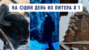 Куда съездить из Питера на 1 день? Зубровник, Рускеала, Богословка