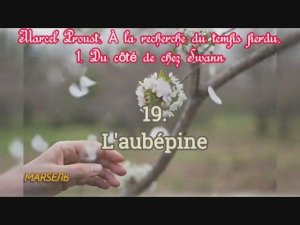 19. L'aubépine
