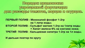 Подкормки рассады томатов, перцев и огурцов. По-взрослому.