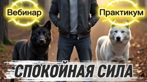 1. Спокойная сила: как перестать воевать с собой и найти внутреннюю опору. СЕРГЕЙ БЕЛОВ