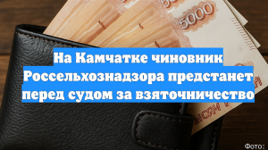 На Камчатке чиновник Россельхознадзора предстанет перед судом за взяточничество