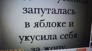 Рыма Чек- вспомним, как это было. Приезд внука и просрочка
