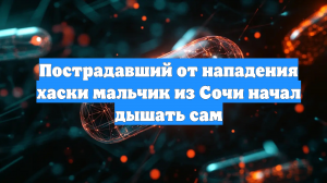 Пострадавший от нападения хаски мальчик из Сочи начал дышать сам