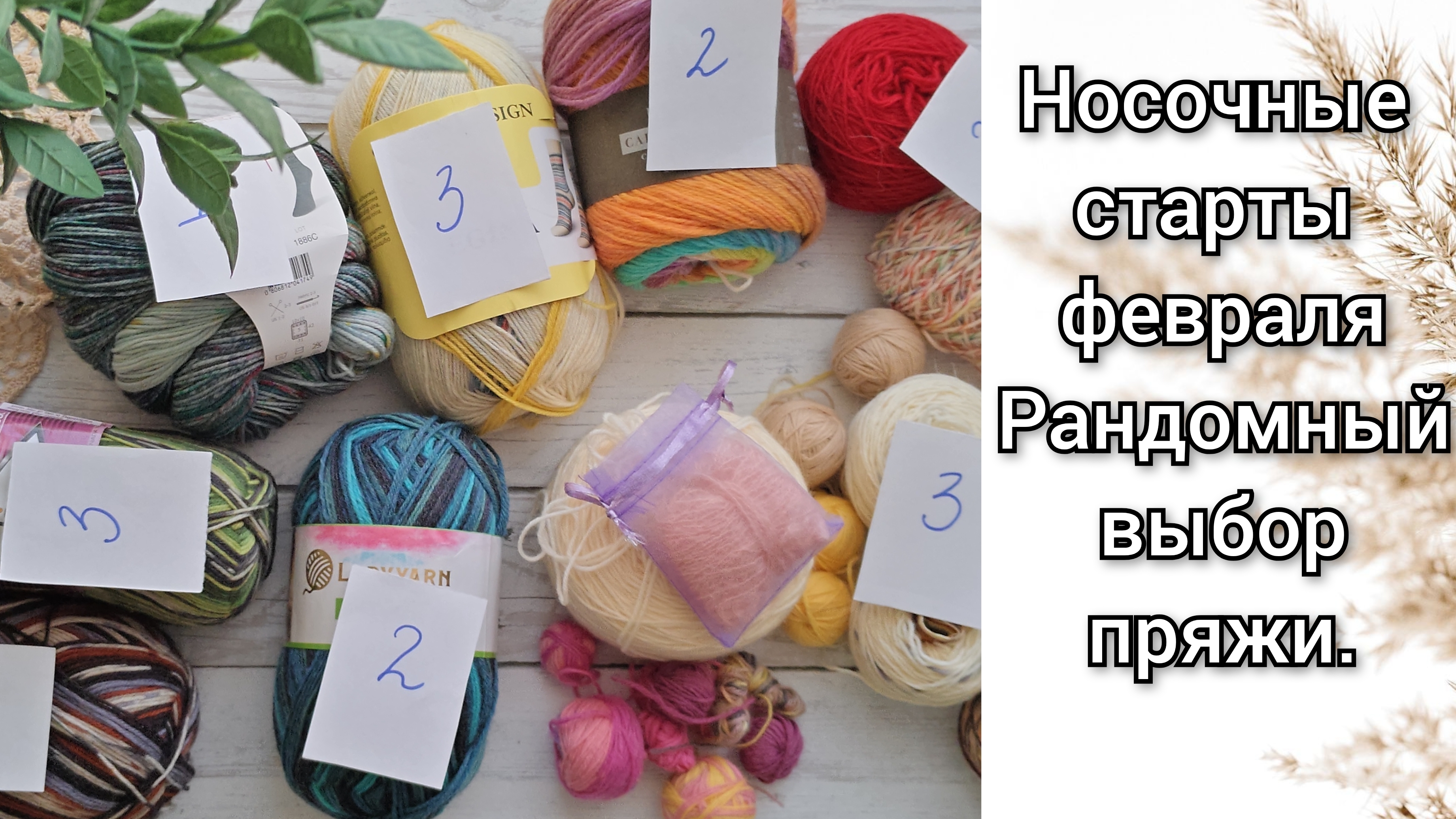 Носочные старты февраля. Рандомный выбор пряжи. 1 готовая работа. Положено начало для новых.