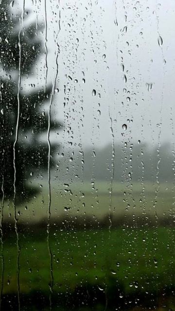 Край любимый сердцу снится Есенин