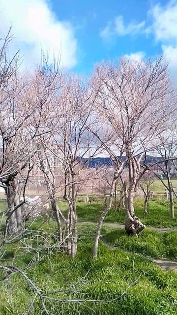 Beautiful Day 4.03.2026..+8°