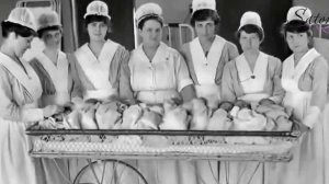 «Репопуляция»