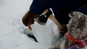 Зимние холода за Северным полярным кругом.