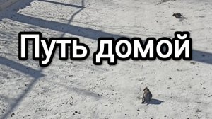 04-03-2026. Путь домой.