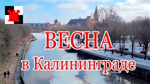 Весна в Калининграде. Гуляем по Ленинскому проспекту