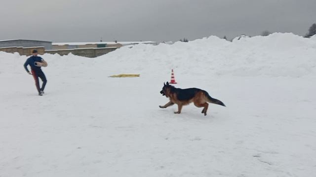 2.  выражено/перв ЭЙ*МИХЕЙ ИЗ БЕЛОГО ЯРА (Negus Karil*S Alan – Заурэкс Бэйлис)