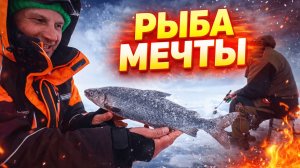 Рыбаки не поверили своим глазам! Что поймали в Карелия? Зимняя рыбалка 2026