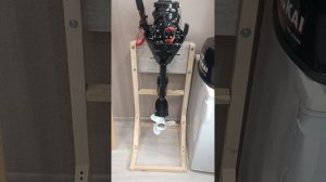 Рождение водомоторника