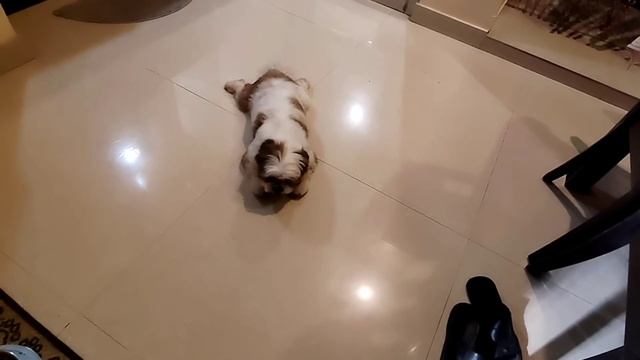 Индия какую вы не видели/Сюзанна  нарасхват. Каша из вчерашних лепешек, рагу из дайкона.