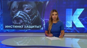 Новости Калининграда — итоги дня, 4 марта 2026 каскад тв