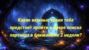 Какие важные уроки тебе предстоит пройти в сфере поиска партнёра в ближайшие 2 недели?