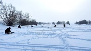На льду Собралось Много Рыбаков. Зимняя Рыбалка. Сибирия, Кто сколько Поймал?) Лучшие Моменты