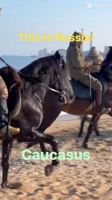 Caucasus, Russia. January 2024 | Южные регионы России. Январь 2024