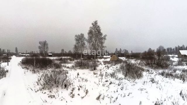 11941697 смотреть онлайн