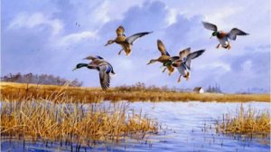 BULT:Hunting simulator-Весна- проверяем получок с дробью№3