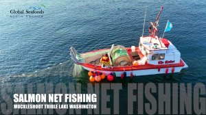 Сезон ловли лосося племени Muckleshoot | Озеро Вашингтон | Аэро-съёмка DJI Avata 4K