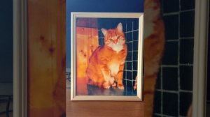 Посвящается Кусе.