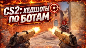 Криминал & Клатч | CS2: Хедшоты (боты)