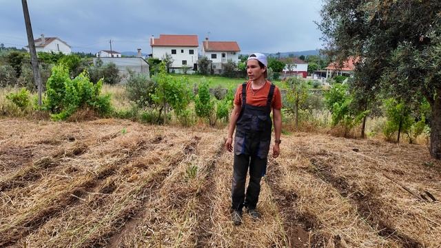 50 томатов и 15 перцев! Подготовка грядок и завтрак на свежем воздухе . Выпуск 8(Дом в Португалии)