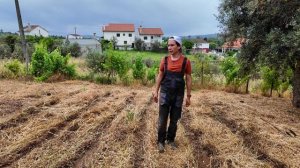 50 томатов и 15 перцев! Подготовка грядок и завтрак на свежем воздухе . Выпуск 8(Дом в Португалии)