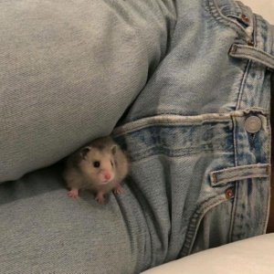 вот я собираюсь в школу выходить