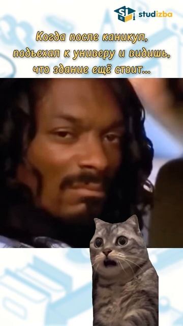 Знакомо? С тебя лайк! А чтобы упростить себе учебную жизнь, жми на ссылку к клипу!
#студизба #снупдо