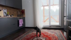 Часть 51. Так и живем