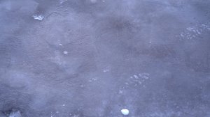 УПАЛ, ОЧНУЛСЯ, ГИПС!