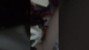 обзор на фигурки skibidi