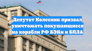 Депутат Колесник призвал уничтожать покушающиеся на корабли РФ БЭКи и БПЛА