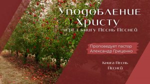 Уподобление Христу через книгу  Песнь Песней.