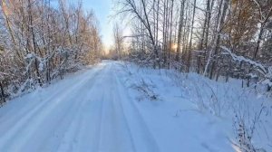 Природа - Художник