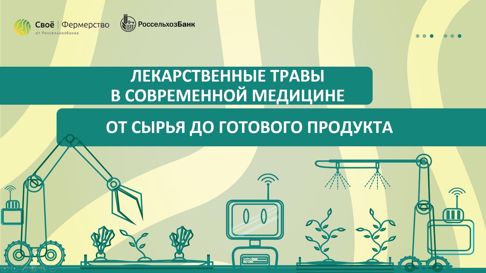 Лекарственные травы в современной медицине: от сырья до готового продукта