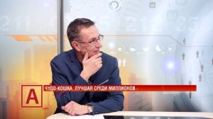 Ольга Кольцова: «Титул принесла домашняя кошка, но и мои породистые тоже были в призах»