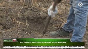 В Ингушетии восстановят 140 гектаров леса