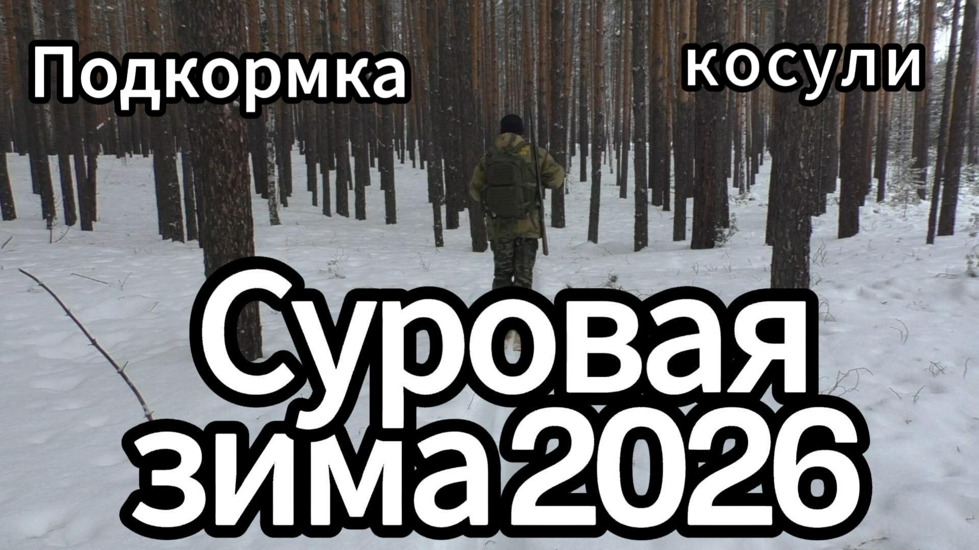 Суровая зима 2026